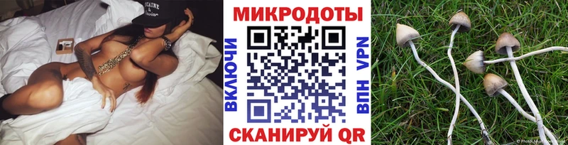 наркота  Усмань  Галлюциногенные грибы MAGIC MUSHROOMS 