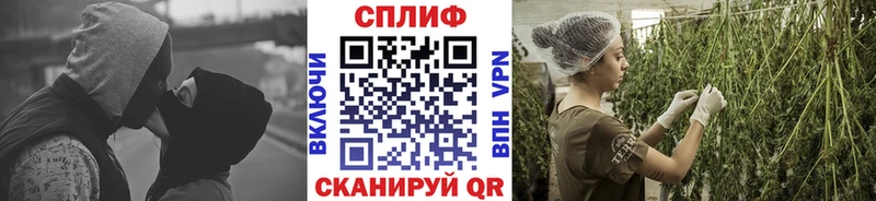 купить   Усмань  Бошки Шишки сатива 